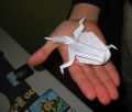 origami zabicka :)
